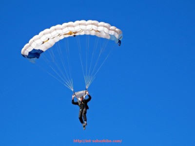 搜狐体育直播-世俱杯赛事仲裁制度的设置逻辑与运行模式分析