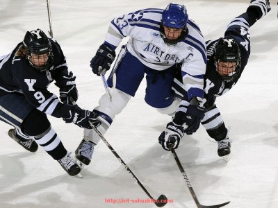 搜狐体育直播-减腹部健身器材推荐：哪些设备有助于快速减掉腹部脂肪？